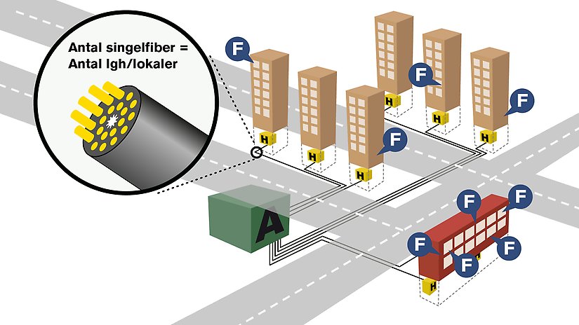 Illustration som beskriver fibernätstrukturen till singelföretag